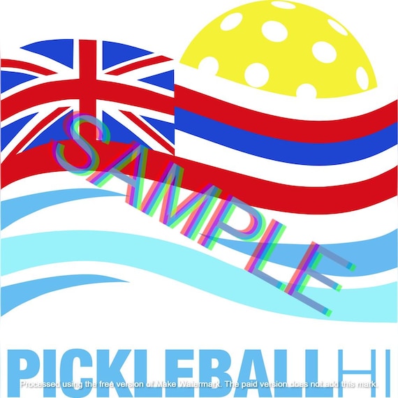 Hawaii State Flag Pickleball Apparel