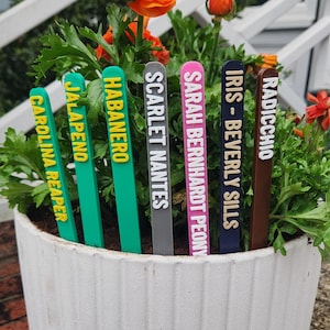 May include: A white ceramic plant pot with green plants and orange flowers. Six plant markers are in the soil, labelled: Carolina Reaper, Jalapeno, Habanero, Scarlet Nantes, Sarah Bernhardt Peony, Iris - Beverly Sills, and Radicchio.