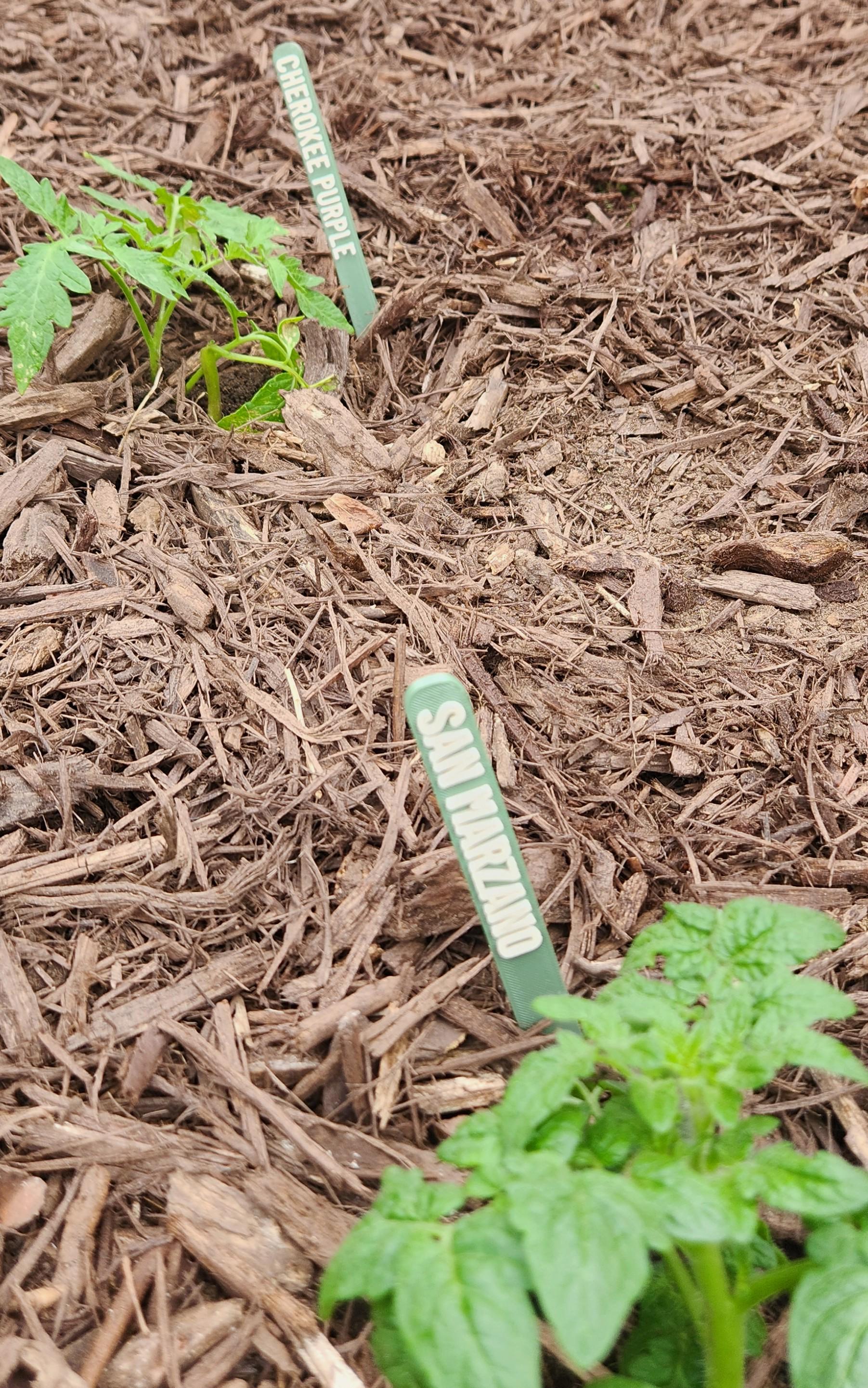 Stake Names Custom Plant Tags / Markers / Stakes With Personalized Names for Herb ...