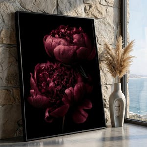 May include: A framed print showcasing two dark red peonies on a black backdrop. The flowers have water droplets, creating a striking contrast. The artwork is positioned near a window, with a vase of dried plants.
