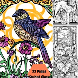 Puede incluir: Un libro para colorear con 33 páginas de diseños de vidrieras. La portada presenta un pájaro colorido posado en una rama con flores. Otros diseños incluyen un perro, un paisaje y un patrón floral.