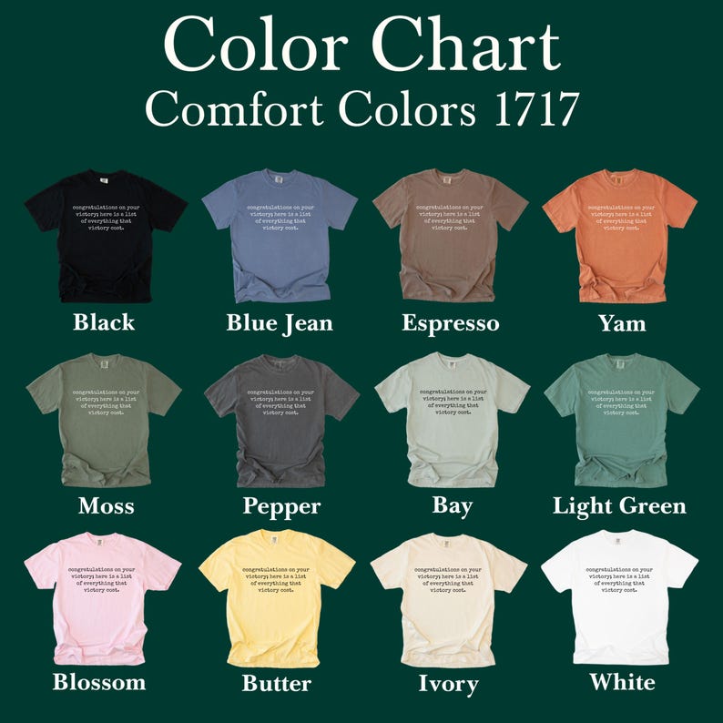 Congratulations Victory Cost Quote T-Shirt, Comfort Colors 1717, Sarcastic Achievement Gift, Motivational Life, All Colors
Comfort Colors