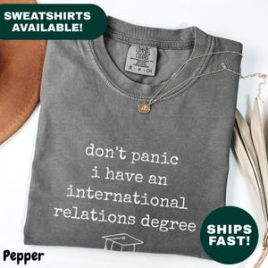 May include: A grey t-shirt with the slogan "don't panic I have an international relations degree" printed in white. The shirt has a crew neck and short sleeves. A gold necklace with a pendant rests on the shirt. The shirt is folded.