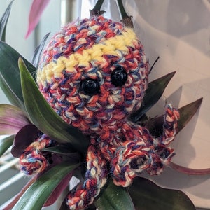 Fabio de kattenkruid-octopus