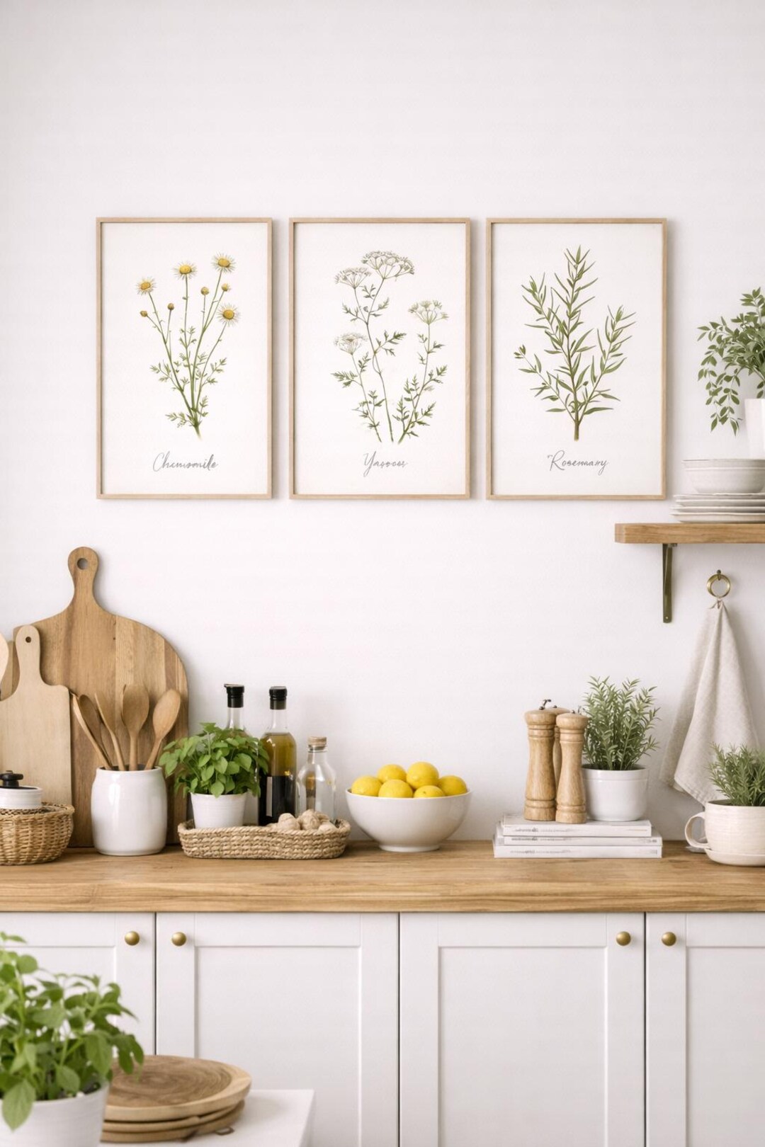 Sage Vintage Kitchen Herb Prints, Botanical Wall Art Set (digital ...