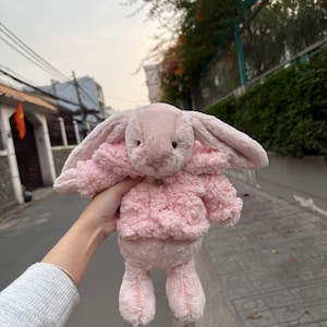 May include: A pink plush bunny with long ears and a textured jacket. The toy is held up against a blurred outdoor background. The bunny's jacket has a button detail. The toy is made of soft material.