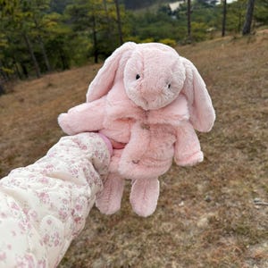 May include: A pale pink plush bunny toy with long, floppy ears and button details. The bunny is held up against a backdrop of a natural landscape with trees and a grassy area. The bunny has a fluffy texture.