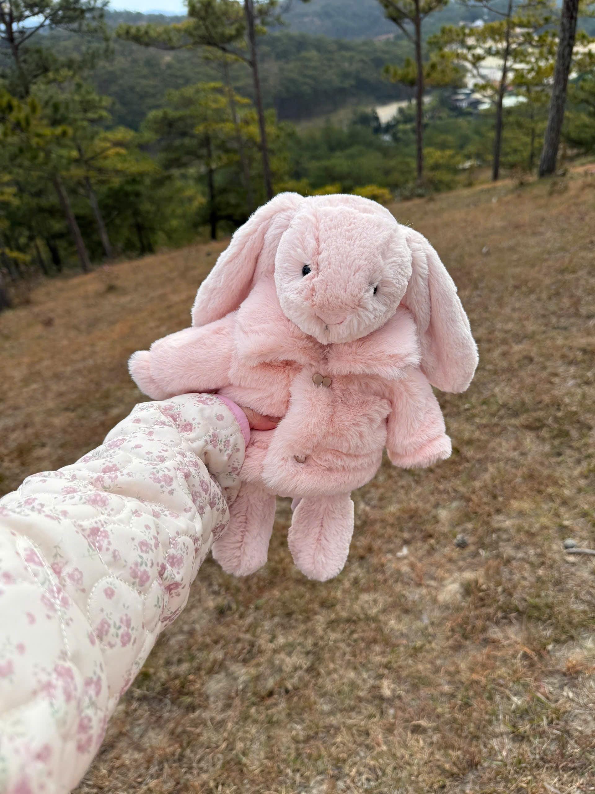 Jellycat fergus frog - Etsy 日本
