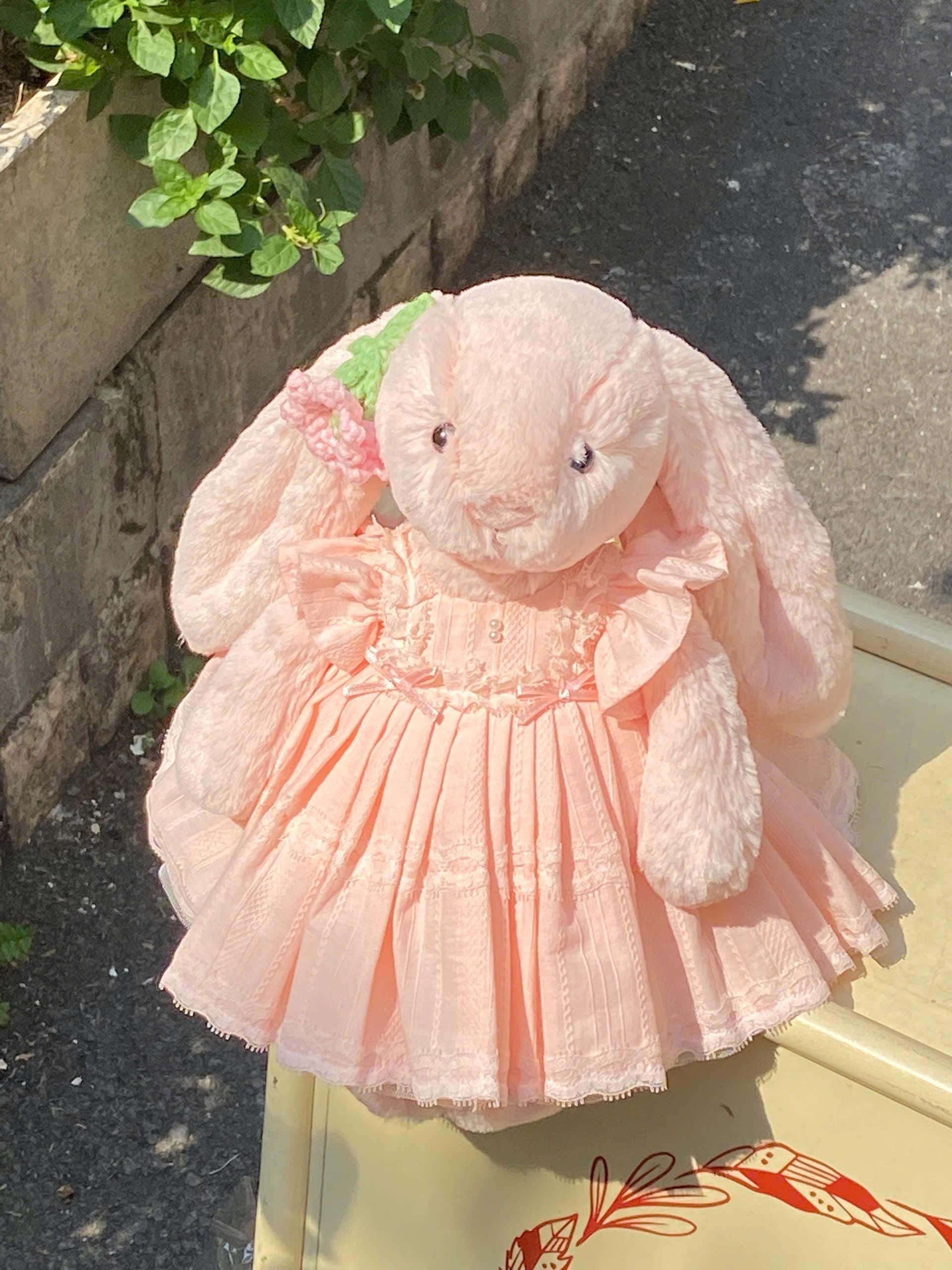 jellycat bunny with pink dress Lottie Bunny Party
