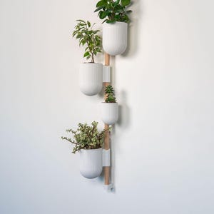 May include: A vertical wall-mounted planter with four white, ribbed, semi-circular pots, each holding a different plant. The pots are attached to a light-colored wooden pole with white brackets. The plants have green foliage.