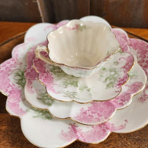 Antique Wileman Foley China - Etsy