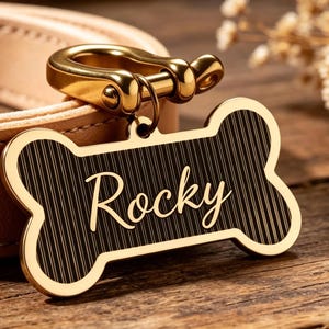 May include: A gold-colored dog tag in a bone shape, with the name "Rocky" in a cursive font. The tag has a black background with vertical lines and a gold border. It hangs from a gold clasp attached to a tan leather collar.