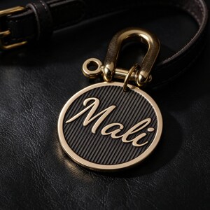 Custom Brass Pet ID Tag, Double Sided Engraved Dog Collar Charm image 4