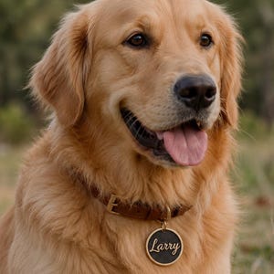 May include: A golden retriever wearing a brown leather collar with a round, black metal pet tag. The tag features a gold-colored border and the name Larry engraved in a cursive script font in the center, attached by a gold-colored metal ring.