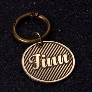 May include: A brass-colored pet tag with the name "Finn" in a cursive font. The tag is oval-shaped with vertical lines and is attached to a brass-colored ring.