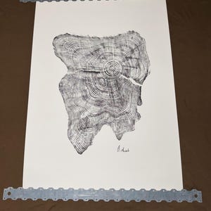 Puede incluir: Impresión en blanco y negro de una sección transversal de árbol, mostrando anillos de crecimiento detallados. La obra de arte está montada con tiras metálicas en la parte superior e inferior. Firmado por el artista, J. Arash.