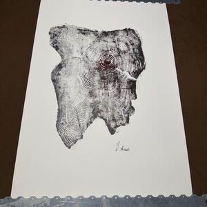 Könnte beinhalten: Ein Schwarz-Weiß-Druck eines Baumquerschnitts, der detaillierte Jahresringe zeigt. Das Kunstwerk ist auf weißem Papier montiert und mit Metallstreifen befestigt. Die Signatur des Künstlers, "O. Arash", ist unten rechts zu sehen.