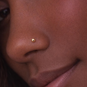 Könnte beinhalten: Nahaufnahme eines goldfarbenen Nasenpiercings. Der Stecker ist ein kleiner, runder Ball. Der Hautton ist ein warmes Braun.