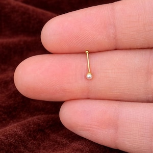 Könnte beinhalten: Ein zarter Nasenstecker aus Gold mit einer kleinen, runden, weißen Perle an der Basis und einer winzigen Goldkugel an der Spitze. Der Schmuck wird vor einem verschwommenen, dunkelroten Hintergrund gezeigt.