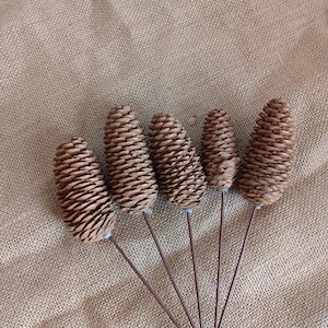 May include: Five brown pine cone picks with metal stems. The pine cones are a natural brown color and have a textured surface. The picks are arranged against a neutral background.