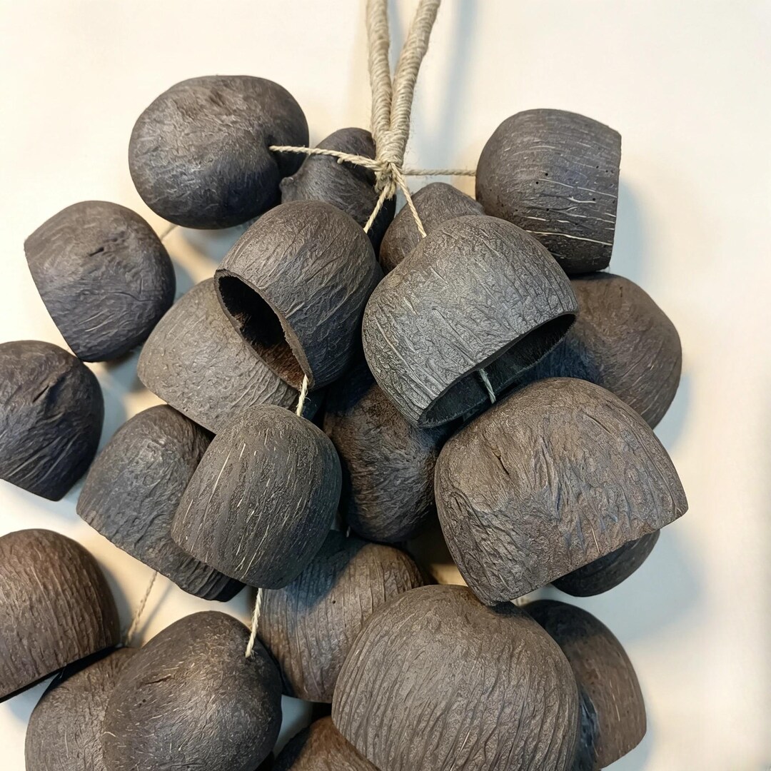Sea Pod Rattle Natural Seed Pod Rattle, Sound Healing Shaker, Wabi Sabi Boho Decor - Etsy