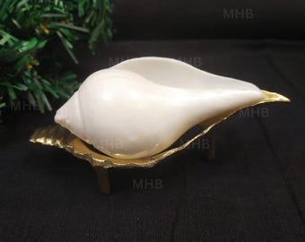 Religious Small Jal Shankh with Pure Brass Shankha Stand for Pooja & Home Décor – Natural Sankha -Pack of 1