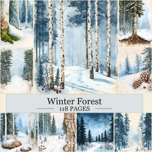 May include: A collection of watercolour illustrations depicting a winter forest with birch trees, snow-covered paths, pine trees, and red berries. The central text reads Winter Forest 118 PAGES. The imagery features various snowy landscapes.