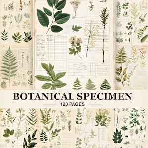 May include: A collection of botanical specimen pages featuring various green leaf and flower illustrations on aged paper backgrounds. The pages include grid charts, handwritten notes, and scientific plant drawings. Text reads BOTANICAL SPECIMEN 120 PAGES.