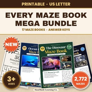 2,772 Printable Mazes Bundle | 17 Books, Ages 3-Adult, Answer Keys (Digital Download)