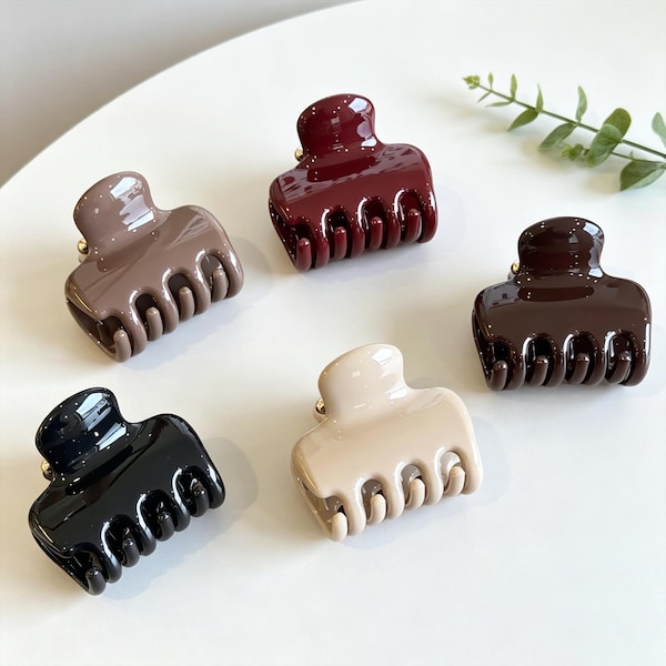 Mini Glänzende Haarkralle-Klammer, kleine farbneutrale Kieferklaue, eleganter täglicher Haargriff, Haarschmuck für Frauen, Geschenk für Geburtstag und Jahrestag