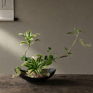 May include: A floral arrangement featuring a dracaena plant with variegated green and yellow leaves, paired with slender green stems and small clusters of light pink flowers, all contained within a textured, matte black, boat-shaped ceramic bowl.