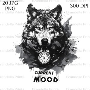 20 grappige chagrijnige dieren clipart, PNG/JPG 300 DPI, digitale clipart, aquarel clipart, hoogwaardige printbare PNG clipart, digitale download