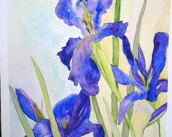 Greeting cards and notecards of watercolor paintings