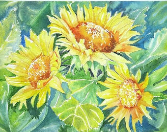 Sunflower faces