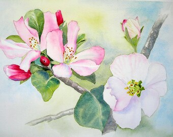 Greeting cards and notecards of watercolor paintings