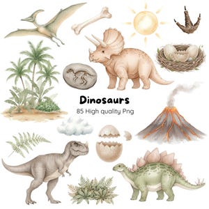 Op de afbeelding: Waterverfillustraties van dinosaurussen, waaronder een Triceratops, T-Rex en Stegosaurus, met een Pterodactylus, bot en fossiel. De afbeelding bevat ook een vulkaan, zon, palmbomen en de tekst "Dinosaurs 85 High quality Png."