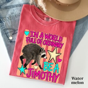 Be a Jimothy Shirt, Viral Jimothy Raccoon Shirt, Seattle Viral Comfort Colors Shirt, Trash Panda Tee, Short King Jimothy, Cute Baby Raccoon image 9