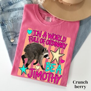 May include: A pink short-sleeved t-shirt featuring a graphic of a raccoon, a yellow star, a teal star, and hearts. The text reads: IN A WORLD FULL OF ORDINARY BE A JIMOTHY. The shirt is layered over blue denim jeans and a tan hat.