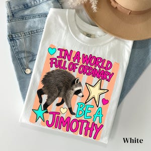 May include: A white t-shirt featuring a graphic of a raccoon and the text "IN A WORLD FULL OF ORDINARY BE A JIMOTHY". The design includes a light orange striped background, a yellow star, a teal star, and small teal and pink hearts.