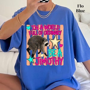 Be a Jimothy Shirt, Viral Jimothy Raccoon Shirt, Seattle Viral Comfort Colors Shirt, Trash Panda Tee, Short King Jimothy, Cute Baby Raccoon image 6