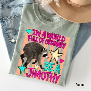 May include: A sage green t-shirt featuring a graphic of a raccoon and the text "IN A WORLD FULL OF ORDINARY BE A JIMOTHY" in bright pink letters. The design includes a yellow star, a teal star, and small hearts in teal, yellow, and pink colors.