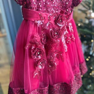 Puede incluir: Un vestido fucsia vibrante con un corpiño con lentejuelas y mangas cortas. La cintura está ceñida con una faja a juego, y la falda presenta una capa de tela transparente. Adornado con apliques florales y un dobladillo con lentejuelas.