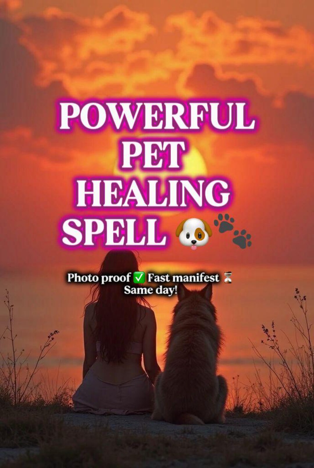 Pet Healing Ritual for Dogs & Cats - Comfort Energy Session, Pet ...
