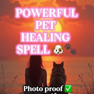 May include: A digital graphic featuring a sunset over water with the text POWERFUL PET HEALING SPELL, a dog emoji, and paw prints. Below, the text reads Photo proof, Fast manifest, and Same day, accompanied by a check mark and hourglass emoji.