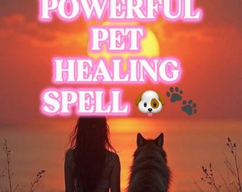 May include: A digital graphic featuring a sunset over water with the text POWERFUL PET HEALING SPELL, a dog emoji, and paw prints. Below, the text reads Photo proof, Fast manifest, and Same day, accompanied by a check mark and hourglass emoji.