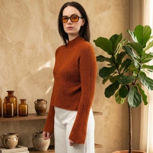 Puede incluir: Top de punto acanalado color óxido con mangas largas y cuello alto. Se combina con pantalones blancos de pernera ancha. El conjunto se completa con gafas tintadas de color naranja. En el fondo, una estantería de madera con botellas decorativas y una planta en maceta.