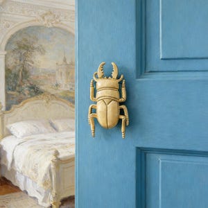 Beetle Brass Door Handle & Hook, Handcrafted Nature-Inspired Home Decor, Warm Rustic Style, Housewarming Gift