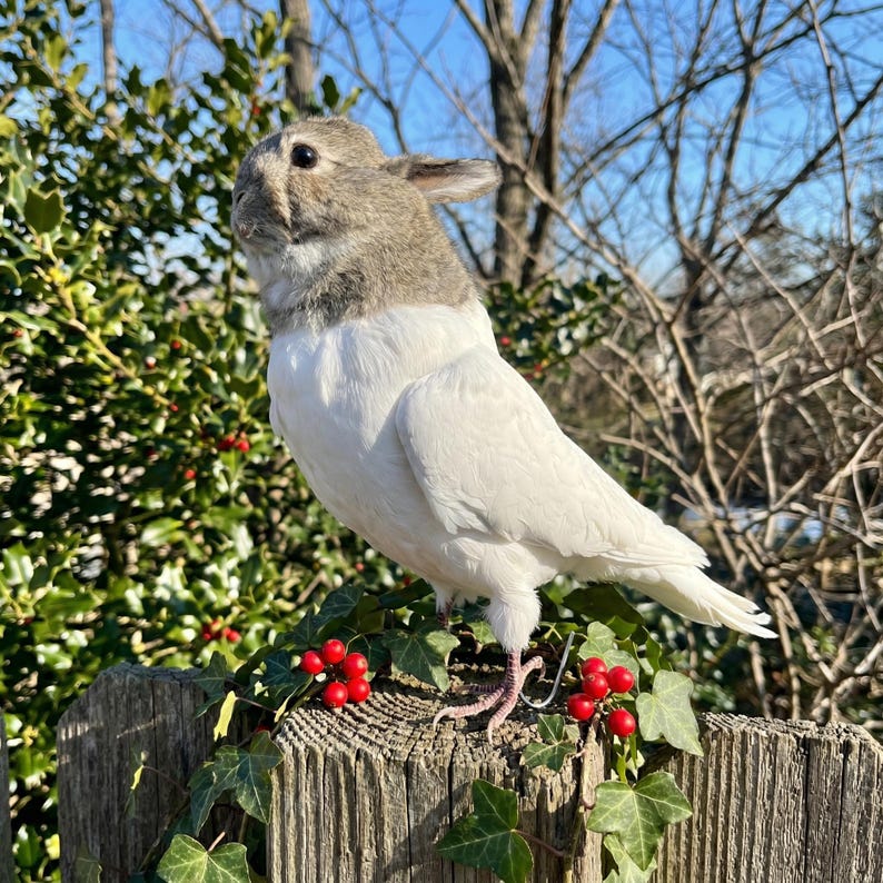 Pu&ograve; includere: Unica scultura decorativa di uccello con testa di coniglio e corpo bianco. La scultura &egrave; appollaiata su una staccionata di legno adornata con edera e bacche rosse. Lo sfondo presenta un cielo blu chiaro e rami di alberi spogli.
