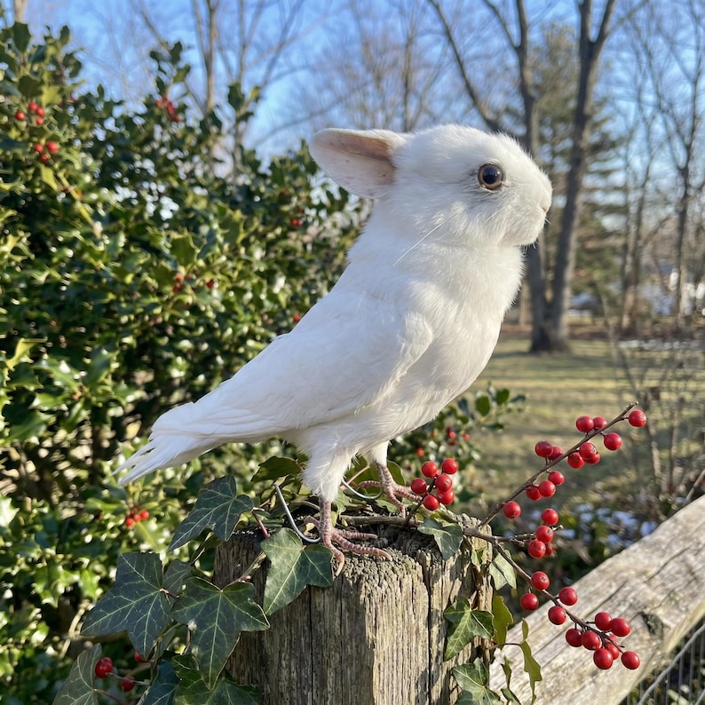 Pu&ograve; includere: Una scultura bianca a forma di uccello con orecchie da coniglio appollaiata su un palo di legno. La scultura ha un aspetto soffice ed &egrave; ambientata su uno sfondo di fogliame verde e una staccionata di legno. Sono visibili bacche rosse e foglie verdi.
