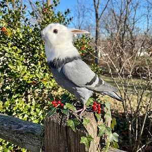 Pu&ograve; includere: Un bizzarro uccello decorativo con testa di coniglio bianca e corpo grigio, appollaiato su un palo di legno. L'uccello ha una testa bianca soffice, ali grigie e una striscia nera sulla schiena. Bacche rosse e foglie verdi adornano il palo.